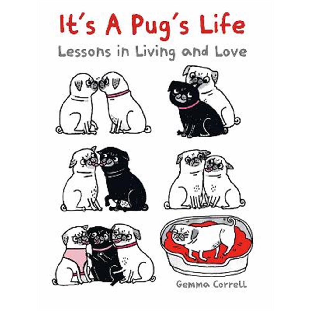 It's a Pug's Life: Lessons in Living and Love (Hardback) - Gemma Correll